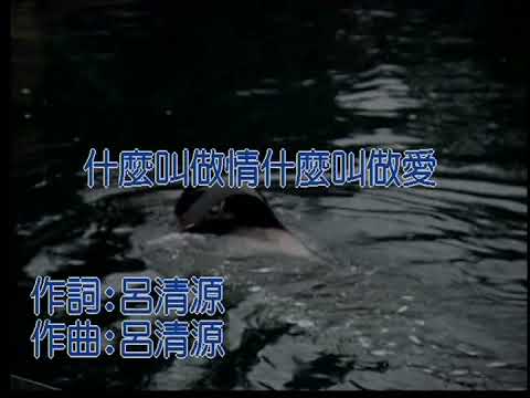 Tonton 石喬《什麼叫做情什麼叫做愛 》KTV版 (左伴右唱) Official Music Video di YouTube
