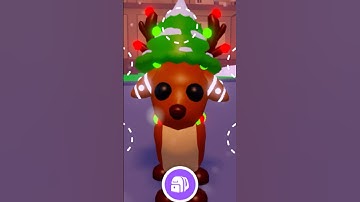 OPENING DAY 3 Adventure Calendar🎄#adoptme