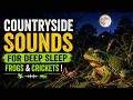 Frogs and Crickets Night Sounds | Fall Asleep Fast with Nature Ambience