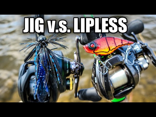 Bank Fishing with a Jig & Lipless Crankbait (Glad I Brought Both