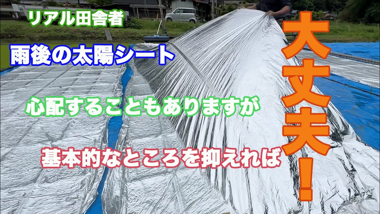 雨の日の太陽シートのお話