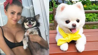 Puppy Surprise Compilation | Dog Surprise Compilation | Try Not to Cry - AWW  @FluffPlanet by Miyu Animals 🐶 56,661 views 2 years ago 9 minutes, 58 seconds