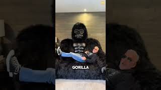 A Silly Thing, Turned Into A Mive Trend