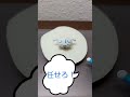 【ミッション】リンゴに挟まってしまったシロを救出しろ!#shorts