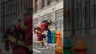 The Secret Code Behind Fire Hydrant Colors! Wealth
