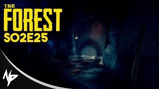 the Forest | S02E25 | Cesta do středu země | CZ Let's Play / Gameplay [1080p]