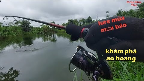 Lure cá lóc mùa mưa bão.tiếp tục hành trình khám phá những ao trong rẩy cà phê.