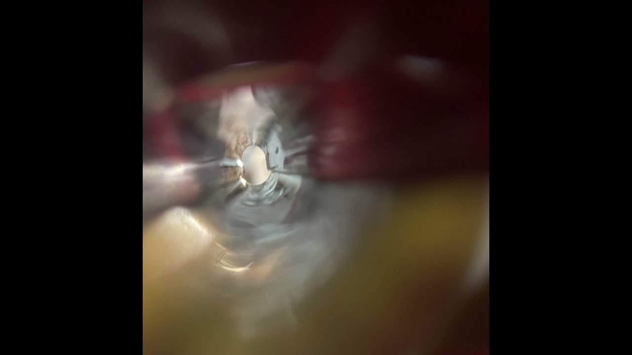 Magic Medallion Man's Revenge