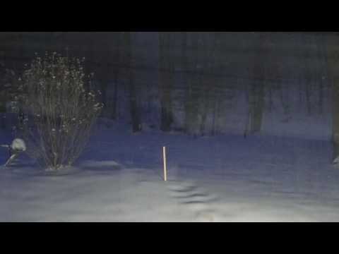 Winter Storm Stella Time Lapse - YouTube