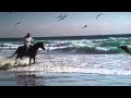 وتسألني وتسألني