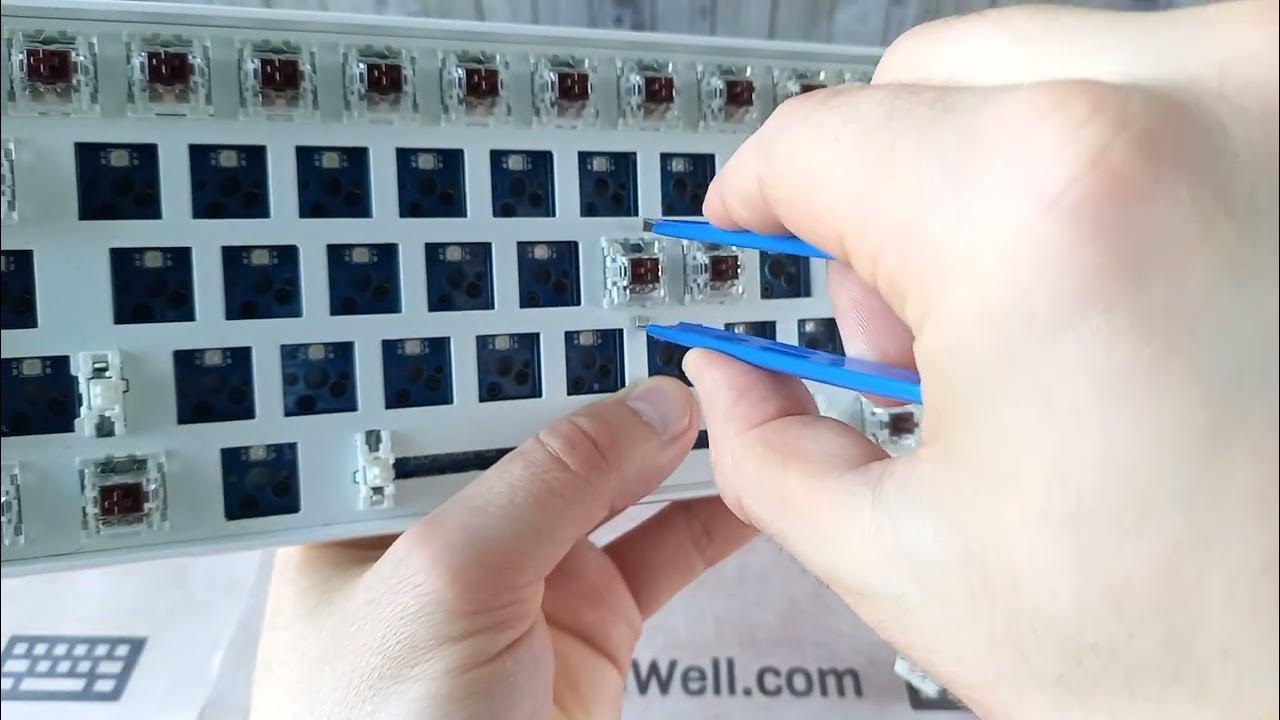 How to remove keyboard switches? closeup (quick howto) YouTube