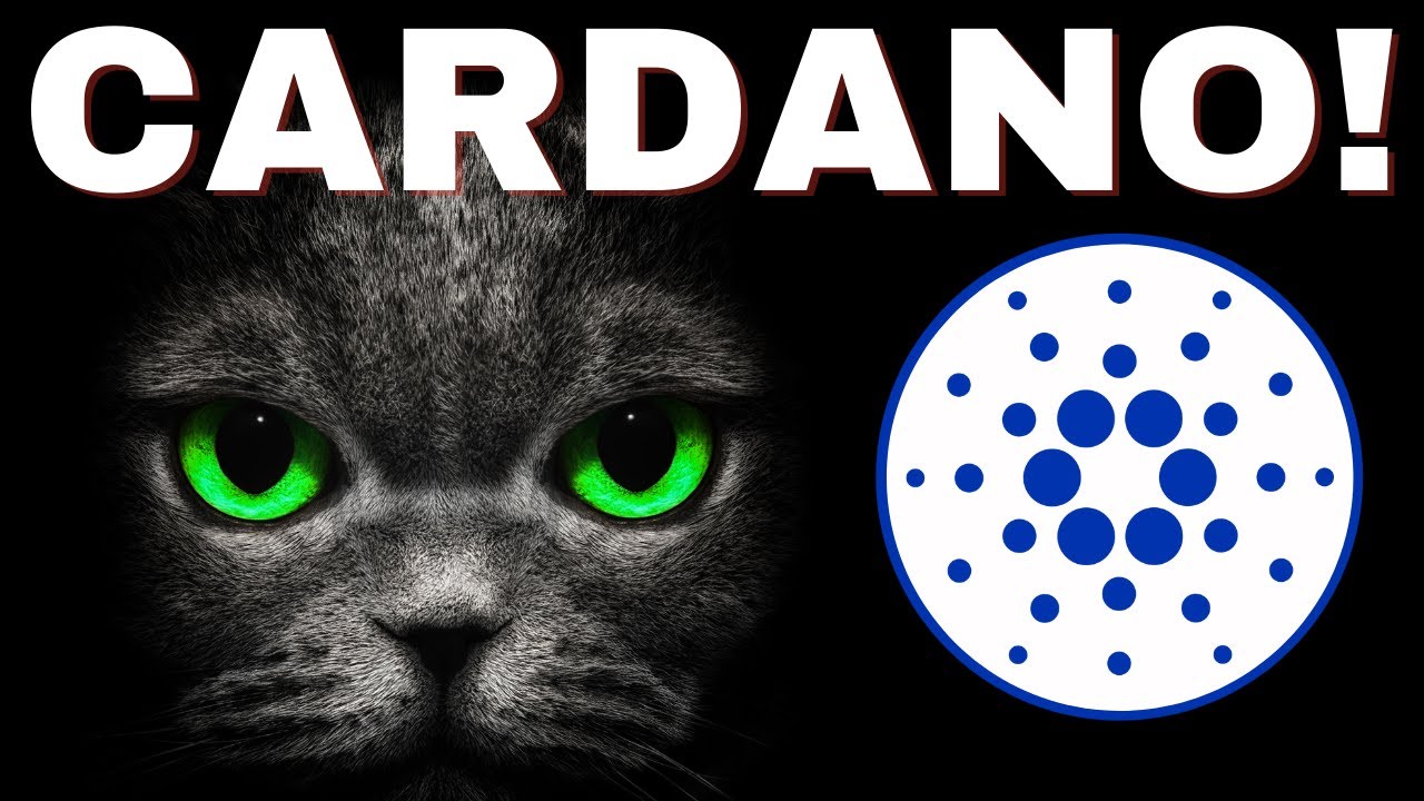 Cardano ADA Could Dominate The Defi Space! The Bull Run Must Go On! General Market Update!  HODL!