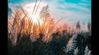 Play Doh Meets Dora Carmen María And Edu Espinal 1 Hour