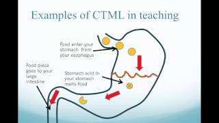 EDCI 339 Qinyun Tang #2