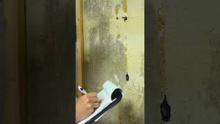 Top Wall Issues Ruining Paint Jobs