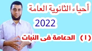 أحياء 3ث  : ( ١ ) شرح الدعامة فى النبات + أسئلة بالنظام الجديد