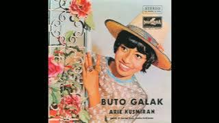 DI BALIK TIRAI PENJARA ARIE KOESMIRAN