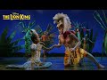 Disney the lion king i theater 11 zrich 2023  2024 i trailer