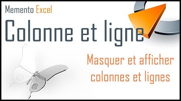 Masquer et afficher colonnes et lignes dans Excel - Formation Excel Marseille