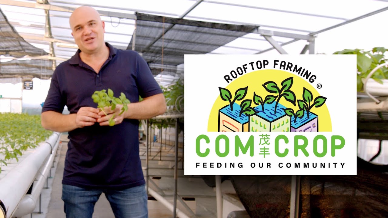 ComCrop August 2020 Update - YouTube