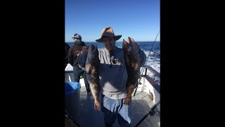 2017 RockFish Opener San Nicolas Island El Dorado