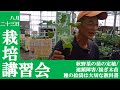 秋野菜の苗の定植と連作障害・接ぎ木苗・種まきについて解説します。【栽培講習会】