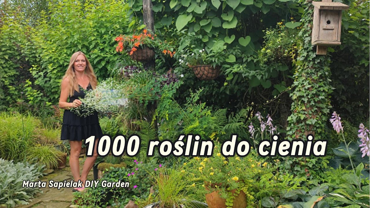 1000 roślin do cienia