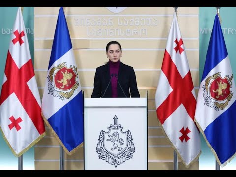 შინაგან საქმეთა მინისტრის მოადგილის - ნინო ცაციაშვილის ბრიფინგი