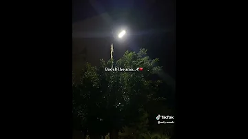 على جالها بدلت الحومة 