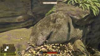 KCD2 Treasure Map Second Treasure Location - Skeleton with Treasure - Kingdom Come Deliverance 2