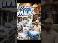 From Farm to Glass: The Milk Journey in India 🥛🚜 #learningengine #facts