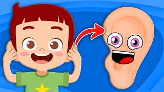 Explore The Parts Of YOUR Ears! | Human Body Songs For Kids | KLT Anatomy