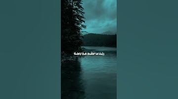 القارئ عمر بن ضياء الدين سورة آل عمران الآيه 191 🤍.