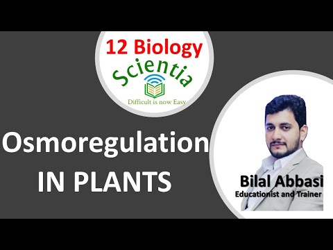 Osmoregulation in Plants I Chapter 15 homeostasis Lec 2 By Scientia I Urdu/Hindi