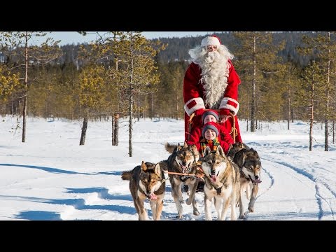 Video: Kuinka Nimetä Husky-koira