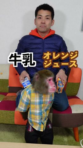 お猿さんに「右左どっちの素材か」選ばせてミックスジュースつくったらwwww