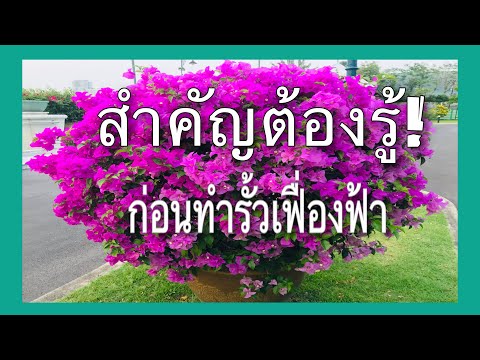 EP038: เรื่องสำคัญต้องรู้ ก่อนมีรั้วเฟื่องฟ้า