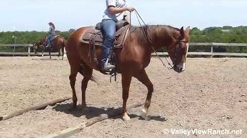Cowgirl Sioux - ranch versatility trail - ValleyViewRanch.net