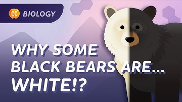 Microevolution: What