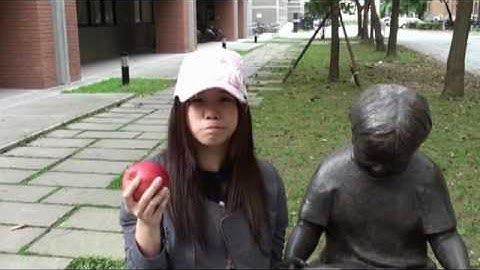 NTU VFX 2010 Assignment #3 Composite Video