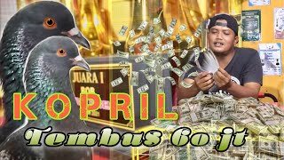 THREE-TIME KOPRIL CHAMPION WINS 60 JT - Merpati Kolong Jogja