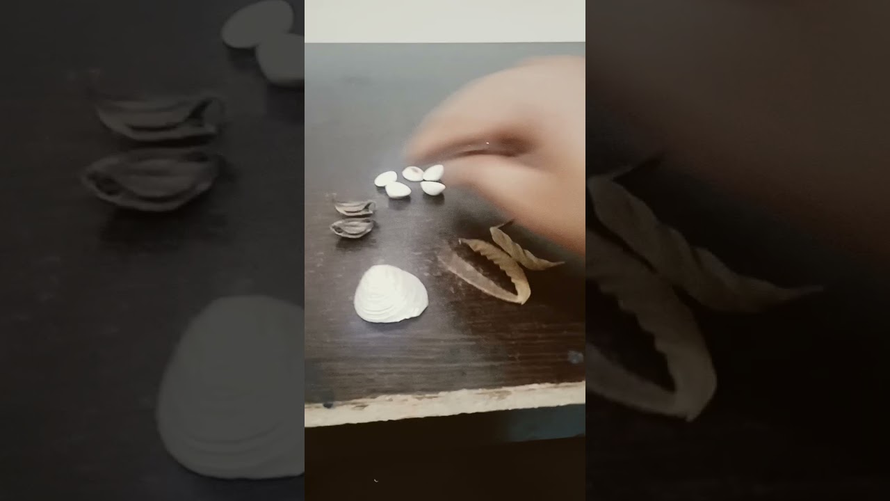 Devi shree guruji kit 