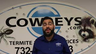 Tips To Protect Yourself From Pests During The Colder Months