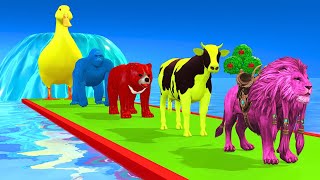 Paint Animals Gorilla Elephant Cow Cat Brown Bear fountain crossing animal cartoon