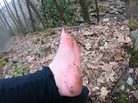 Barefoot Hiking | Little Bird Falls | Sunburst NC