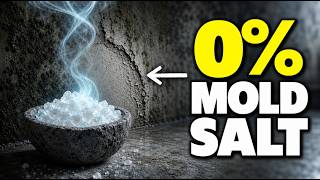 How Salt Can Reduce Humidity and Remove Mold Forever
