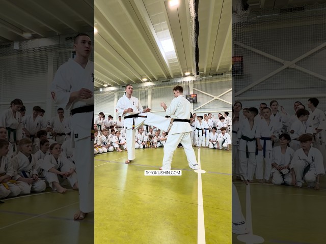 Baltic Fighting Camp 2026 #kyokushin #shinkyokushin #karate #1kyokushin #一極真 #極真会館