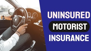 Is Uninsured Motorist Property Damage Insurance Necessary? | Uninsured Motorist Insurance Explained