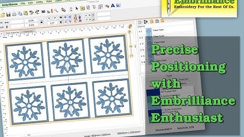 Embrilliance Enthusiast Precise Position