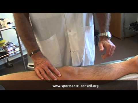 Tendinopathie du genou : l&rsquo;appareil extenseur du genou